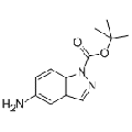 anti-HYAL1 antibody (Hyaluronidase-1) (N-Term)