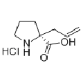 anti-HYAL1 antibody (Hyaluronidase-1) (N-Term)