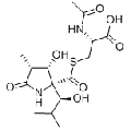 anti-HYAL1 antibody (Hyaluronidase-1) (N-Term)