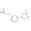 anti-HYAL1 antibody (Hyaluronidase-1) (N-Term)