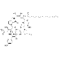 anti-HYAL1 antibody (Hyaluronidase-1) (N-Term)