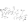 anti-HYAL1 antibody (Hyaluronidase-1) (N-Term)