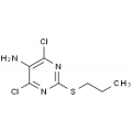 anti-HYAL1 antibody (Hyaluronidase-1) (N-Term)