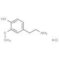 anti-HYAL1 antibody (Hyaluronidase-1) (N-Term)