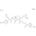 anti-HYAL1 antibody (Hyaluronidase-1) (N-Term)