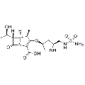 anti-HYAL1 antibody (Hyaluronidase-1) (N-Term)
