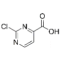 anti-HYAL1 antibody (Hyaluronidase-1) (N-Term)