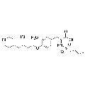 anti-HYAL1 antibody (Hyaluronidase-1) (N-Term)