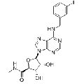 anti-HYAL1 antibody (Hyaluronidase-1) (N-Term)