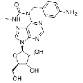 anti-HYAL1 antibody (Hyaluronidase-1) (N-Term)