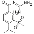 anti-HYAL1 antibody (Hyaluronidase-1) (N-Term)