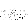 anti-HYAL1 antibody (Hyaluronidase-1) (N-Term)