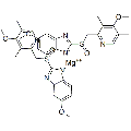 anti-HYAL1 antibody (Hyaluronidase-1) (N-Term)