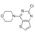 anti-HYAL1 antibody (Hyaluronidase-1) (N-Term)