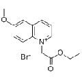 anti-HYAL1 antibody (Hyaluronidase-1) (N-Term)