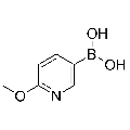 anti-HYAL1 antibody (Hyaluronidase-1) (N-Term)