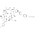 anti-HYAL1 antibody (Hyaluronidase-1) (N-Term)