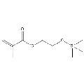anti-HYAL1 antibody (Hyaluronidase-1) (N-Term)