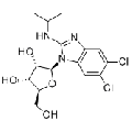 anti-HYAL1 antibody (Hyaluronidase-1) (N-Term)