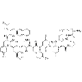 anti-HYAL1 antibody (Hyaluronidase-1) (N-Term)