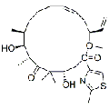 anti-HYAL1 antibody (Hyaluronidase-1) (N-Term)