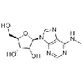 anti-HYAL1 antibody (Hyaluronidase-1) (N-Term)