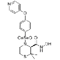 anti-HYAL1 antibody (Hyaluronidase-1) (N-Term)