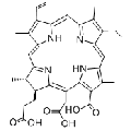 anti-HYAL1 antibody (Hyaluronidase-1) (N-Term)