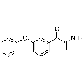 anti-HYAL1 antibody (Hyaluronidase-1) (N-Term)