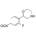 anti-HYAL1 antibody (Hyaluronidase-1) (N-Term)