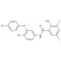 anti-HYAL1 antibody (Hyaluronidase-1) (N-Term)