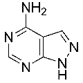 anti-HYAL1 antibody (Hyaluronidase-1) (N-Term)