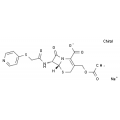 anti-HYAL1 antibody (Hyaluronidase-1) (N-Term)