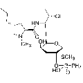 anti-HYAL1 antibody (Hyaluronidase-1) (N-Term)