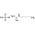 anti-HYAL1 antibody (Hyaluronidase-1) (N-Term)