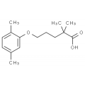 anti-HYAL1 antibody (Hyaluronidase-1) (N-Term)