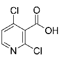 anti-HYAL1 antibody (Hyaluronidase-1) (N-Term)