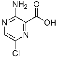 anti-HYAL1 antibody (Hyaluronidase-1) (N-Term)