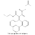 anti-HYAL1 antibody (Hyaluronidase-1) (N-Term)