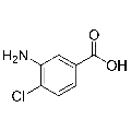 anti-HYAL1 antibody (Hyaluronidase-1) (N-Term)