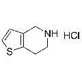 anti-HYAL1 antibody (Hyaluronidase-1) (N-Term)