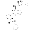 anti-HYAL1 antibody (Hyaluronidase-1) (N-Term)