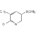 anti-HYAL1 antibody (Hyaluronidase-1) (N-Term)