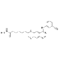 anti-HYAL1 antibody (Hyaluronidase-1) (N-Term)