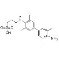 anti-HYAL1 antibody (Hyaluronidase-1) (N-Term)