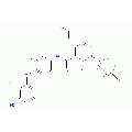 anti-HYAL1 antibody (Hyaluronidase-1) (N-Term)