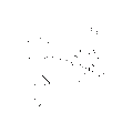 anti-HYAL1 antibody (Hyaluronidase-1) (N-Term)