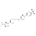 anti-HYAL1 antibody (Hyaluronidase-1) (N-Term)