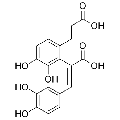 anti-HYAL1 antibody (Hyaluronidase-1) (N-Term)