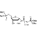 anti-HYAL1 antibody (Hyaluronidase-1) (N-Term)